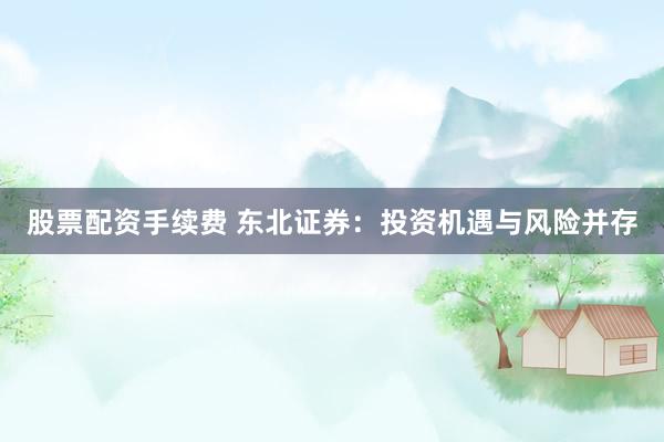 股票配资手续费 东北证券：投资机遇与风险并存