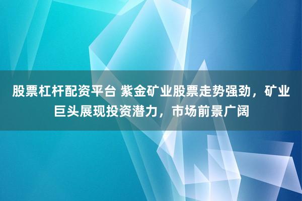 股票杠杆配资平台 紫金矿业股票走势强劲，矿业巨头展现投资潜力，市场前景广阔