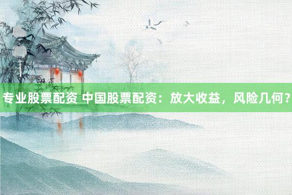 专业股票配资 中国股票配资：放大收益，风险几何？