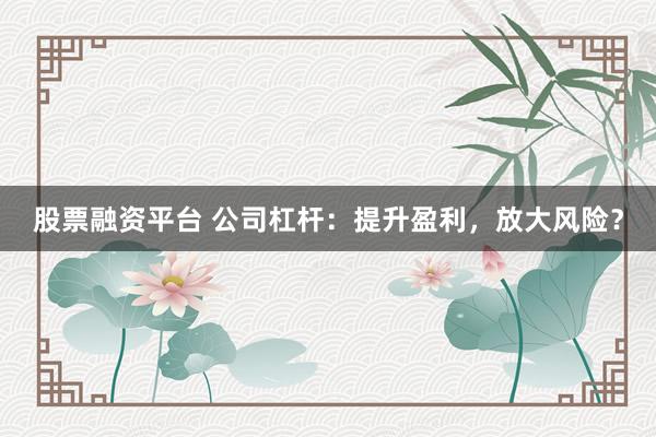 股票融资平台 公司杠杆：提升盈利，放大风险？
