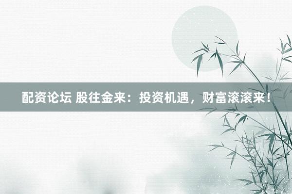 配资论坛 股往金来：投资机遇，财富滚滚来！