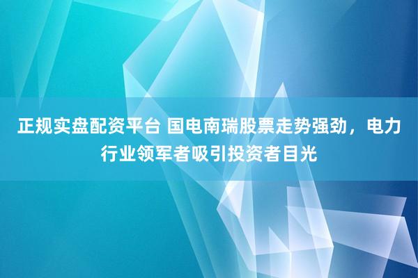 正规实盘配资平台 国电南瑞股票走势强劲，电力行业领军者吸引投资者目光