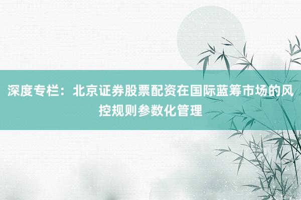 深度专栏：北京证券股票配资在国际蓝筹市场的风控规则参数化管理
