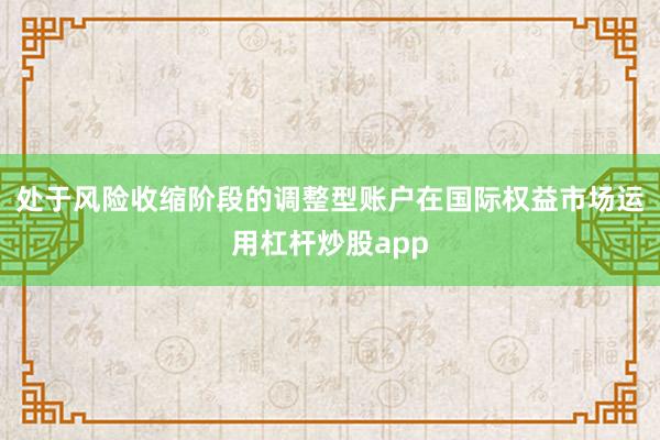 处于风险收缩阶段的调整型账户在国际权益市场运用杠杆炒股app