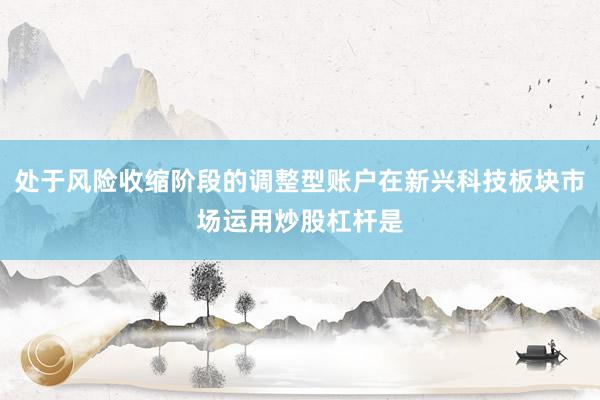 处于风险收缩阶段的调整型账户在新兴科技板块市场运用炒股杠杆是