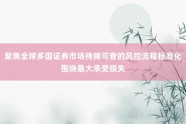 聚焦全球多国证券市场持牌可查的风控流程标准化围绕最大承受损失