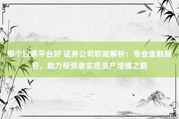 那个股票平台好 证券公司职能解析：专业金融服务，助力投资者实现资产增值之路