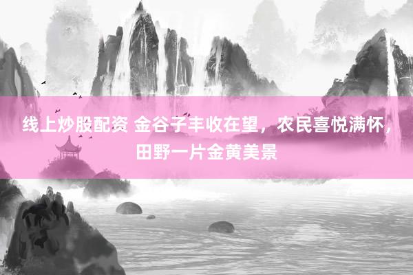 线上炒股配资 金谷子丰收在望，农民喜悦满怀，田野一片金黄美景